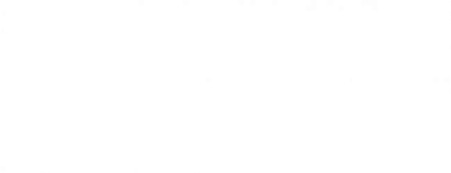 Govsight logo